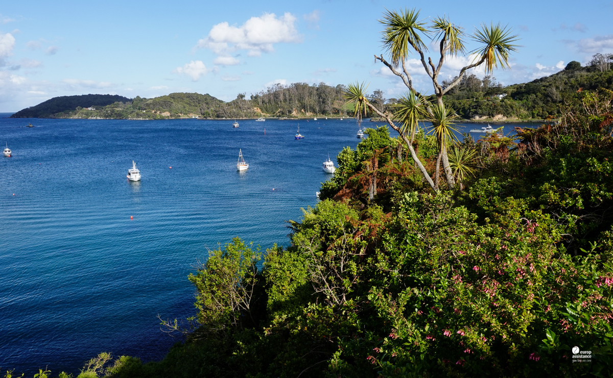 halfmoon bay stewart island