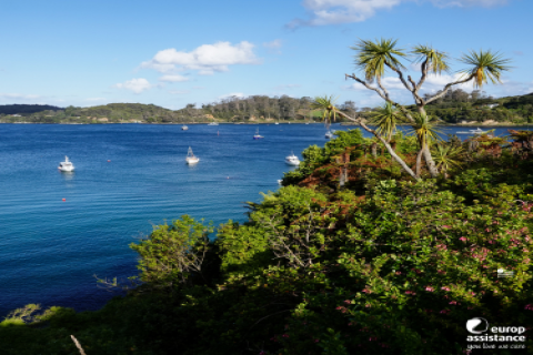 halfmoon bay stewart island